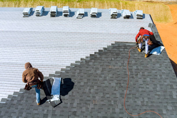 Best Roof Maintenance Services  in Nicholson, MS