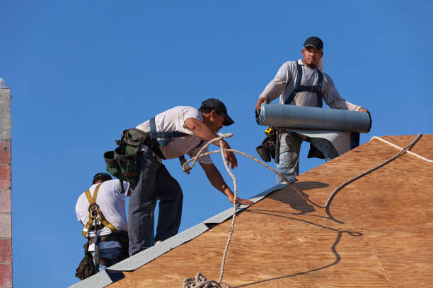 Best Roof Gutter Cleaning  in Nicholson, MS